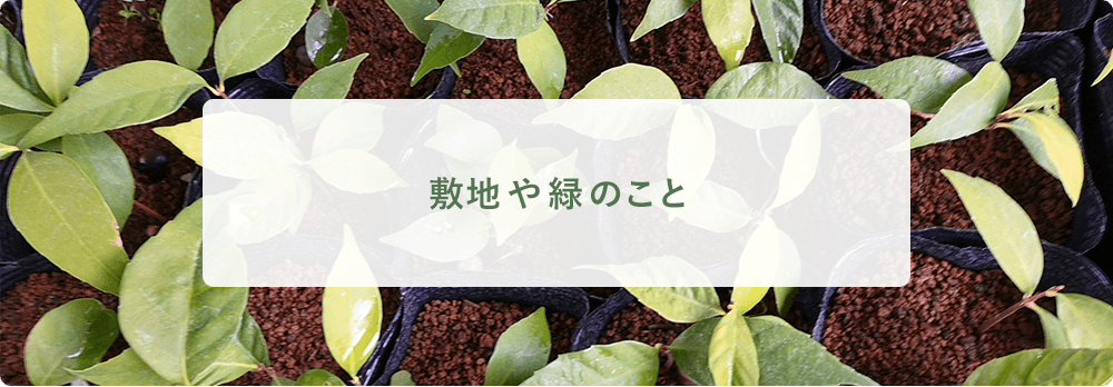 敷地や緑のこと