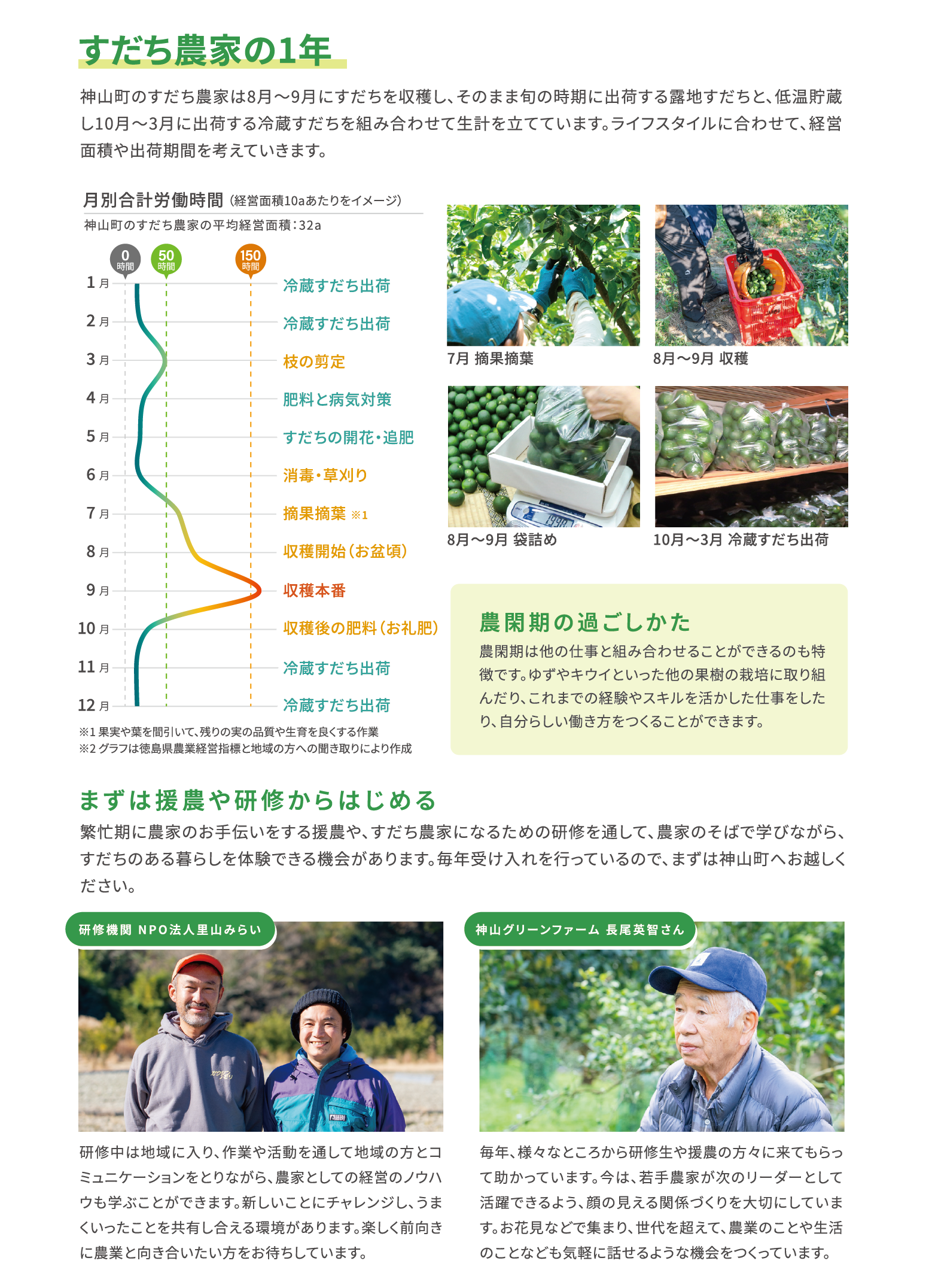 すだち画像4 すだち画像4