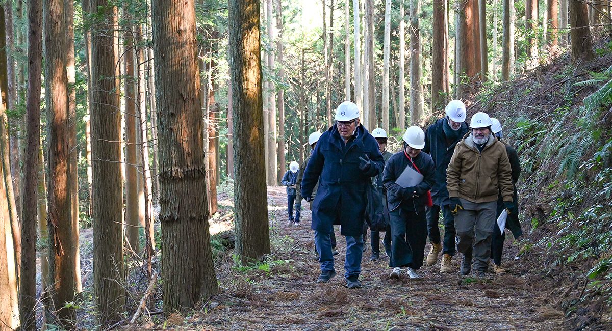 メインビジュアル メインビジュアル