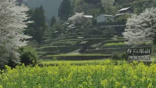 神山アーカイブス「Nature」