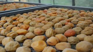 神山タイムズ（阿川梅干し講座、デジタル襖からくり、上角棒搗き）平成30年8月