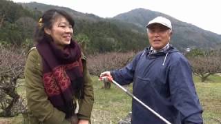 神山タイムズ（阿川梅まつり）令和2年2月